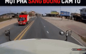 Pha sang đường 'cảm tử' của bác gái dắt xe đạp khiến cộng đồng mạng thót tim như xem phim hành động Mỹ