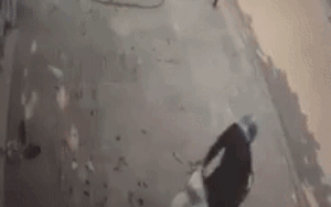 Clip nam thanh niên ngang nhiên bẻ khóa trộm xe máy trước cửa nhà người dân gây phẫn nộ