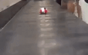 Cười không nhặt nổi mồm với đồ ký gửi quá cute, khiến ai nấy ở sân bay cũng phải ngoái nhìn