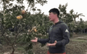 Chết cười clip Trọng Ỉn hùng hồn giới thiệu đã chuyển qua 'nghề mới'