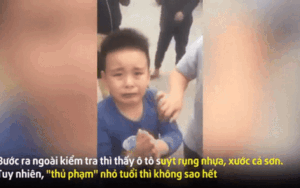 Lỡ va xe đạp vào đầu ô tô, cậu bé khóc nức nở chắp tay xin tài xế tha lỗi gây sốt cộng đồng mạng