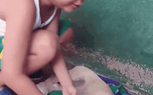 Clip: Cậu bé khóc nức nở, lay chú chó đã chết mong 'phép màu' xảy đến khiến nhiều người xúc động