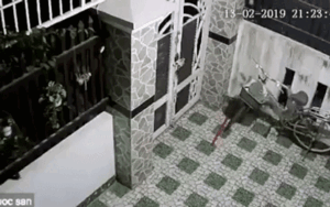 Thò tay qua khe hở trên tường, tên trộm vật vã trộm đồ và thứ hắn lấy khiến ai nấy ngã ngửa