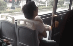 Mang chó lên xe buýt bị tiếp viên nhắc nhở, nam hành khách ngông cuồng thách thức: 'Phạt 10 triệu anh bù 20 triệu cho mày'