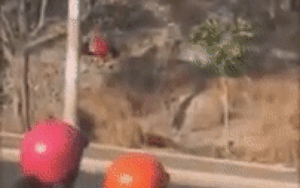 Tay không leo đồi Con Heo, nam thanh niên rơi xuống vực sâu 30m