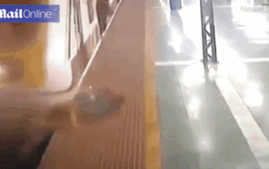Khoảnh khắc 'rớt tim' khi người phụ nữ bị tàu hỏa đâm trúng và kéo dọc sân ga
