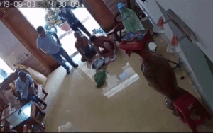 Đang nhặt rau trong nhà, người phụ nữ bị nhóm côn đồ lao vào đánh dã man đến chấn thương sọ não