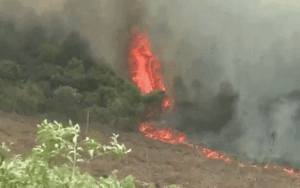 Lại xảy ra cháy rừng diện rộng ở Quảng Bình, hơn 500 người căng mình nỗ lực khống chế lửa