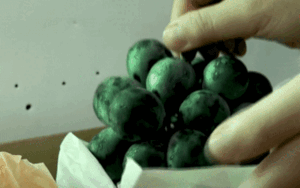 Nho mẫu đơn Nhật Bản giá gần 3 triệu mỗi kg ở Sài Gòn