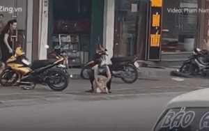 Xác định danh tính nghi phạm mang súng xông vào tiệm vàng cướp tài sản bị ô tô đi đường tông ngã