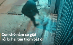 Clip 2 thanh niên đi xe máy bắn súng điện nhanh tay kéo chú chó đang nằm trước cửa nhà dân gây phẫn nộ