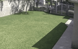 Cảnh sát nổ súng bắn chết thiếu niên tay không tấc sắt, phản ứng của đồng nghiệp gây sốc hơn