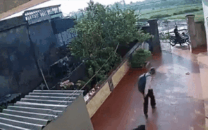 Clip: 2 thanh niên phá cửa cổng, ngang nhiên vào nhà dân 'câu' trộm chó khiến nhiều người bức xúc