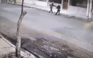 Thấy tên cướp chĩa súng vào người phụ nữ lạ, hai chú chó bất ngờ hành động khiến ai cũng nể phục