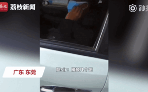 Tài xế chơi trội đeo 12 khẩu trang cùng lúc khiến dân tình 'ném đá': 'Thật ngớ ngẩn'