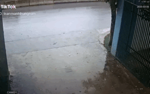 Lộn vài vòng rồi đâm trực diện vào gốc cây, xe ô tô biến dạng hoàn toàn