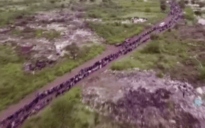 Dòng người dài không thấy điểm cuối ở Nam Phi khi xếp hàng nhận đồ ăn trong mùa dịch COVID-19