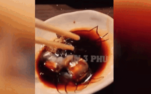 Người đàn ông gắp 'miếng thịt trong suốt' đang ngoe nguẩy và sự thật bất ngờ