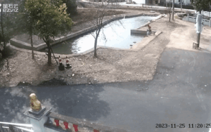 Phát hiện người bạn không may rơi xuống ao, bé trai phản ứng cực nhanh nhạy và thông minh