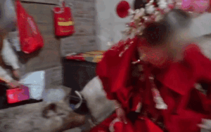 Đàn lợn 3 con đột ngột lao lên giường cưới chiếm chỗ cô dâu, cảnh tượng hỗn loạn gây choáng