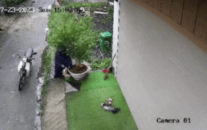 Thanh niên thập thò trước cửa nhà dân hồi lâu và hành động không ngờ sau đó