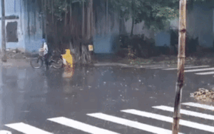 Clip: Bé 'vịt vàng' lẽo đẽo theo anh về nhà dưới trời mưa gây sốt mạng xã hội