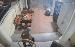 Gần 6 triệu người rưng rưng vì khoảnh khắc cụ bà không may ngã bậc tam cấp