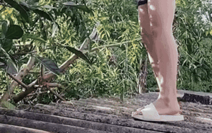 Người phụ nữ đặt máy quay cảnh hái cóc, camera ghi lại khoảnh khắc 'hết hồn'