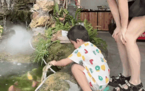 Bé trai hét lớn rồi rụt tay lại lúc đang chơi ở hồ cá, camera ghi lại cảnh bất ngờ