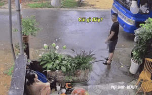 Khoảnh khắc đáng yêu của đôi vợ chồng trẻ thu hút gần 3 triệu lượt xem