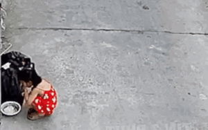 Bỏ tiền triệu mua yến về nấu cho con ăn nhưng bị chê, mẹ xem camera được phen tức anh ách