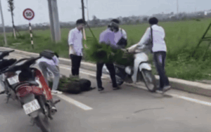 Thấy bác trai bị ngã xe chở cây, nhóm nam sinh có hành động nhận nhiều lời khen ngợi