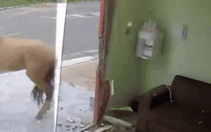 Thấy cửa kính vỡ toang, chủ nhà xem camera thấy cảnh nói không nên lời