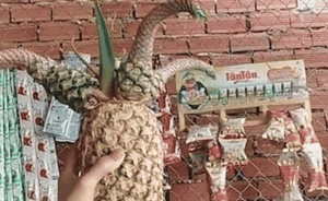 Độc lạ quả dứa có hình thù như gà chọi