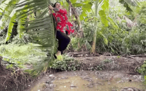 Cô gái gặp kiếp nạn khi đu tàu dừa, bạn bè đứng xem được phen cười sung sướng