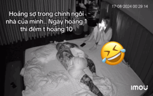 Chồng đang ngủ ngon bỗng giật bắn mình giữa đêm khuya, xem camera mới hiểu lý do