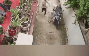 Vừa xuống Hà Nội, cô gái xem lại camera liền rơi nước mắt với hành động của bố ở nhà