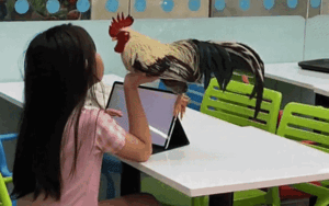 Bé gái ngồi chơi máy tính, dân tình ngỡ ngàng khi thấy thú cưng bên cạnh