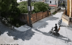 Bức tường bao đổ sập, chủ nhà kiểm tra camera biết lý do đã bật cười