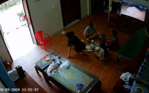 Cả nhà đang ăn cơm vội chạy thóc giữa trưa, diễn biến sau đó khiến ai cũng cười