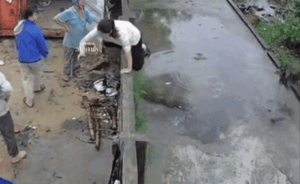 Clip: Trèo tường vào nhà hàng xóm, người phụ nữ bị chó rượt đuổi và cái kết bất ngờ