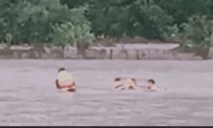 Nghẹt thở khoảnh khắc lực lượng cứu hộ vượt lũ cứu 2 cụ già thoát chết