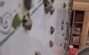 Rời đi nửa tiếng rồi quay lại phòng trọ, cô gái 'đứng hình' với cảnh tượng trước mặt