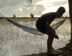 Thanh niên nằm võng thư giãn, cái kết sau đó khiến dân tình cười nghiêng ngả