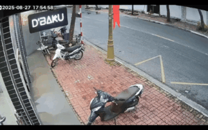 Clip: Đàn chó cả chục con được thả rông ra đường và cái kết khiến nhiều người 'hả hê'