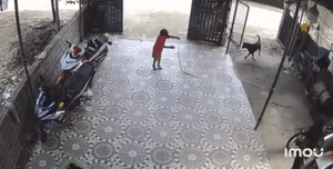 Búp măng non khiến gần 20.000 người tranh luận sôi nổi chỉ với một hành động