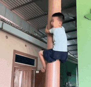 'Khách' đặc biệt xông vào nhà, cậu bé có phản ứng khiến mọi người phải ngước nhìn