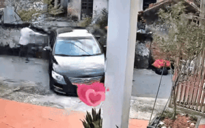 Mở cửa xe đón ô tô vào nhà, gia chủ không ngờ đến diễn biến tiếp theo