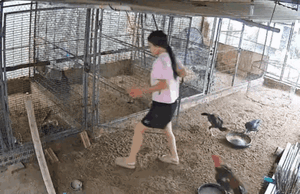 Cô gái hoảng hốt bị tấn công, dân tình bật cười khi biết thủ phạm thật sự