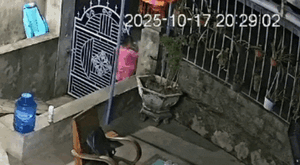 Không thấy con ở nhà, bố mẹ hoảng hốt khi xem lại camera